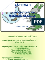 Practica 1 GRADO (14-15) PDF