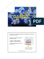 Fluxo de Materia e Energia em Ecossistemas