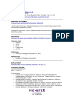 Finance Investment Manager CV Template