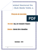 Proyecto de Inversión