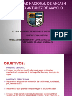 Purificación de Aguas Residuales Con Lenteja de Agua y Berros