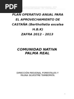 CC - Nn. Palma Real Poa 2012-2013