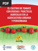 Cultivo de Tomates 