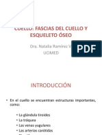 Cuello - Fascias Del Cuello y Esqueleto Óseo (Conflicto de Codificación Unicode)