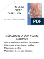 Músculos de La Cara y Cuero Cabelludo