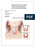 Informe Tiroides 