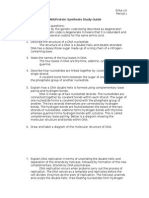 7 - DNA Protein Synthesis Study Guide