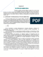 Tipo de Cambio Real PDF