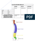 Relacion Vertebro Medular