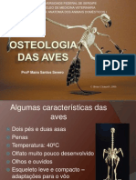 Anatomia Do Sistema Ósseo - Aves