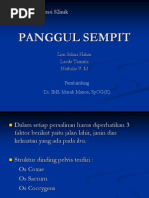 Panggul Sempit