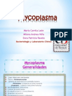 Mycoplasma