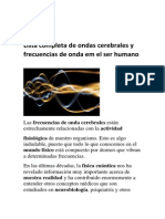 Lista Completa de Ondas Cerebrales y Frecuencias de Onda em El Ser Humano