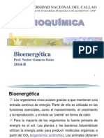 Clase 04 Bioenergetica