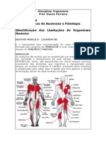 Noções Básicas de Anatomia e Fisiologia