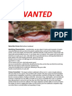 Invasive Species Wanted Poster