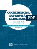 Coordenaçao Supervisao Liderança