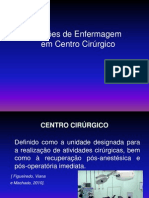 Aula 5 Organização Centro Cirúrgico - Recursos Humanos