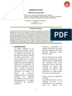 Informe Carbon Activado