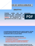 El Kerogeno Y Generación de Hidrocarburos