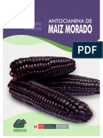 Antocianina de Maiz Morado