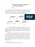 Evolucion Telares y Ligamentos