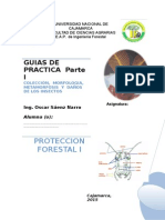 Guias de Practica Prot. Forestal I