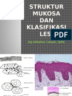 Struktur Mukosa Dan Klasifikasi Lesi: DRG - Miftakhul Cahyati, SPPM