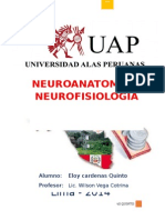 Neuroanatomia y Fisiolgia