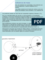 Transferencia de Masa