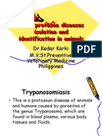 Diseases Caused by Protozoa