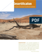 Facts On Desertification