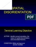 Spatial Disorientation