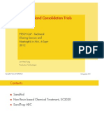 Chemical Sand Consolidation Trials (Shell)