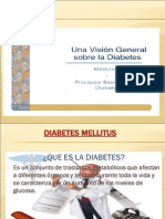 Diabetes Mellitus PPT 2