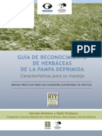 Guia de Campo - Guia de Reconocimiento y Manejo de Pastos de La Pampa Deprimida (Kit de Extension)