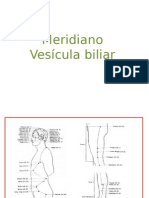 Meridiano de Vesicula Biliar