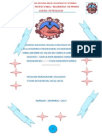 Informe Final de Petrologia Corregido