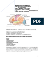 Ficha de Trabalho de Grupo 3 - O Cérebro