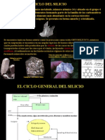 Ciclo Del Silicio