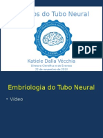 Defeitos Do Tubo Neural