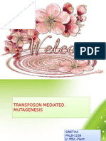 Transposons Mediated Mutagenesis