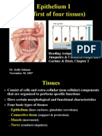 Epithelium I (The First of Four Tissues) : Reading Assignment: Junqueira & Carneiro, Chapt. 2&4 Gartner & Hiatt, Chapter 2