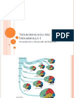 Neurobiología Del Desarrollo I PDF