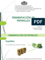 Fermentación de Pepinillos PDF