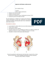 Emergencias Del Sistema Cardiovascular