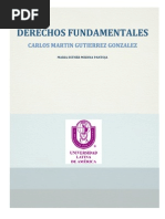 Ensayo Derechos Fundamentales