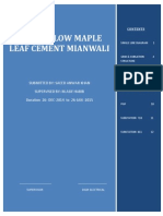 Maple Leaf Cement Power Flow Internship Report