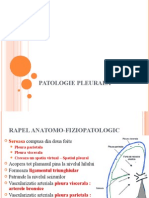 SD Pleural 