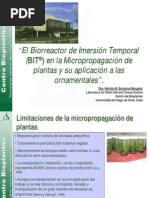 El Biorreactor de Inmersion Temporal en La Micropropagacion Ornamentales